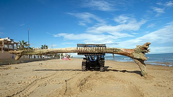 La Diputación adelanta la limpieza de playas en 16 municipios