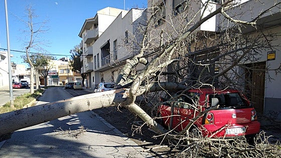 FOTOS | Incidentes por viento en la Comunitat