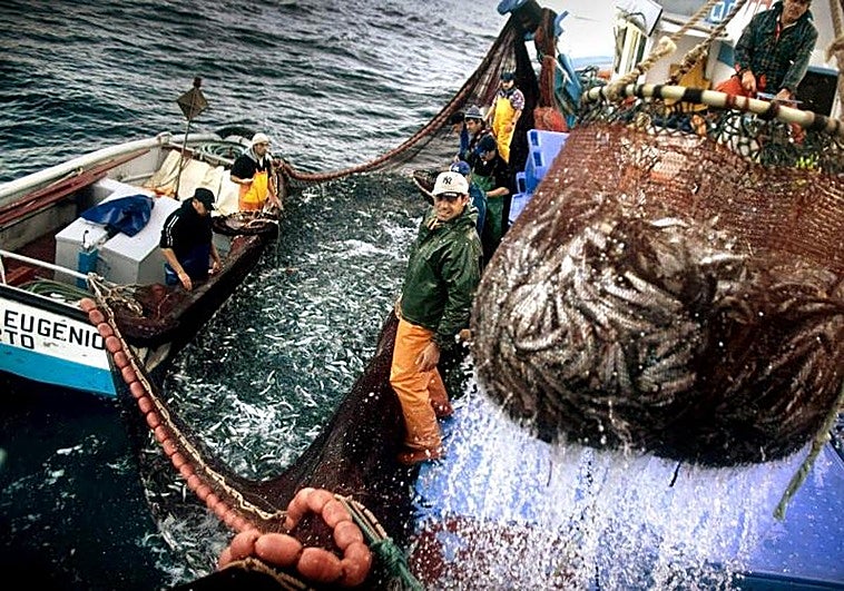 La Seguridad Social publica las nuevas bases de cotización de los pescadores para 2026