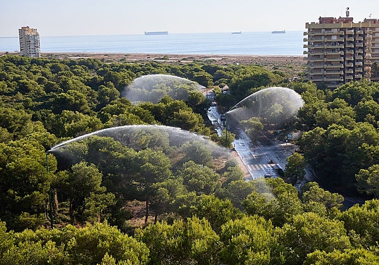 Valencia conecta los cañones de agua de El Saler ante el riesgo de incendio