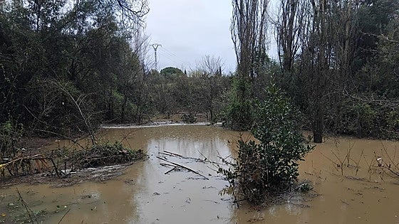 Lluvias de hasta 100 l/m2 ponen al límite el barranco de l'Avenc de Barx