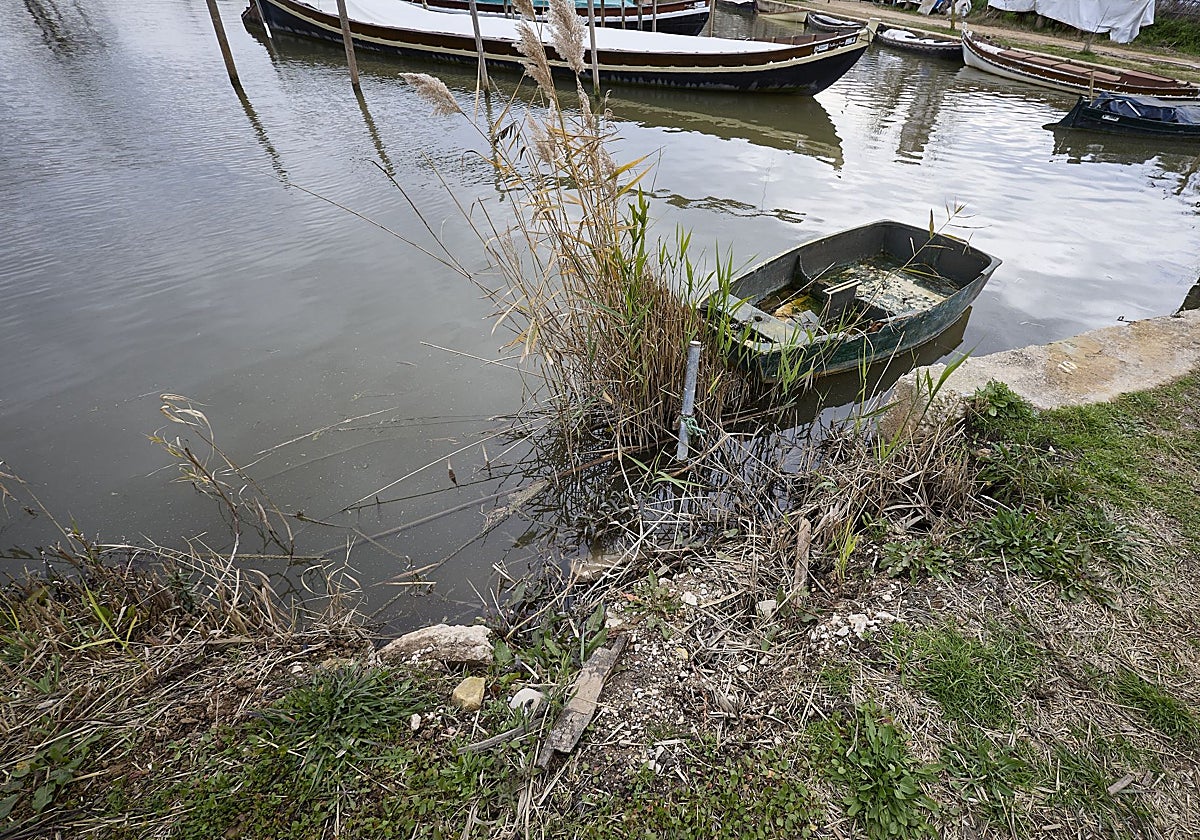Usuarios del puerto del Saler denuncian ante el Síndic su abandono tras la dana | Las Provincias