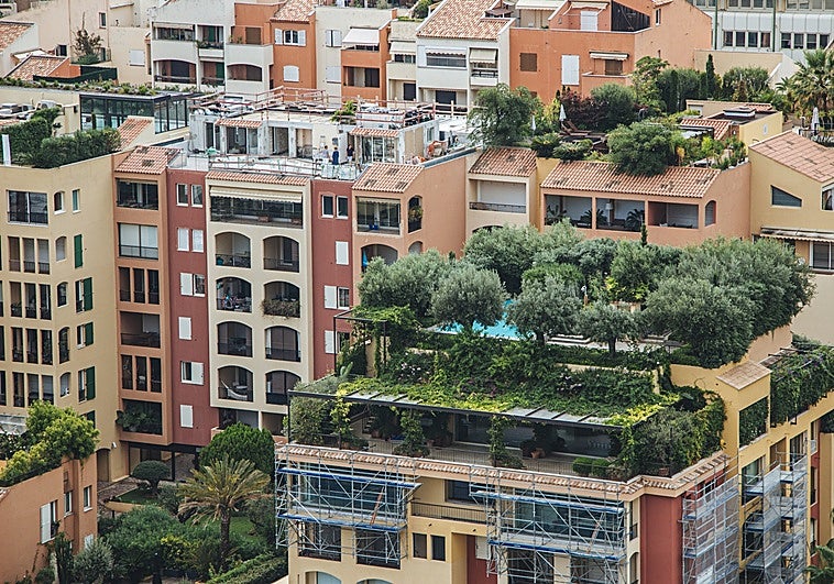 Los vecinos con setos o árboles de estas características estarán obligados a podarlos
