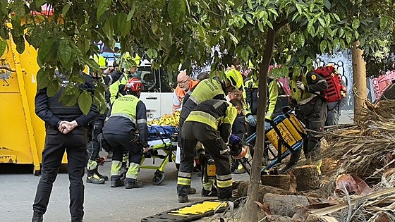 Un trabajador está crítico tras quedar atrapado cuando podaba una palmera a 20 metros de altura en Valencia