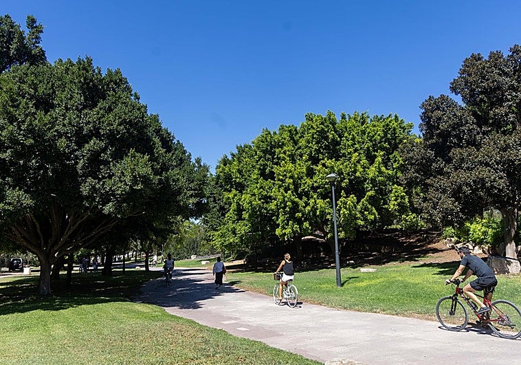 Qué hacer este domingo: rutas en familia, ferias y fiestas de Semana Santa