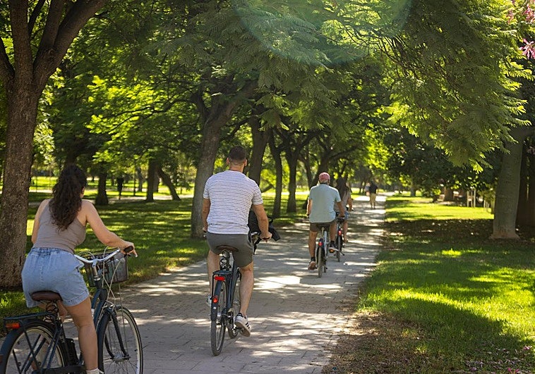 Ocho planes gratuitos para hacer este fin de semana en Valencia