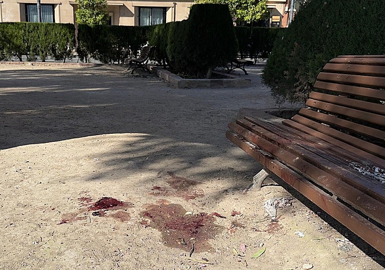 Muerte a traición en Valencia: el indigente hallado en un banco fue apuñalado mientras dormía