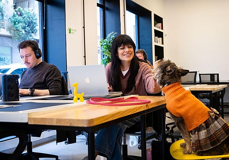 Ir a trabajar con tu perro o gato: «Me ayuda a sentirme más relajada»