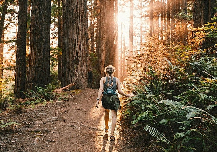 Está de baja por ansiedad, se va de senderismo a los Picos de Europa y es despedida de forma procedente