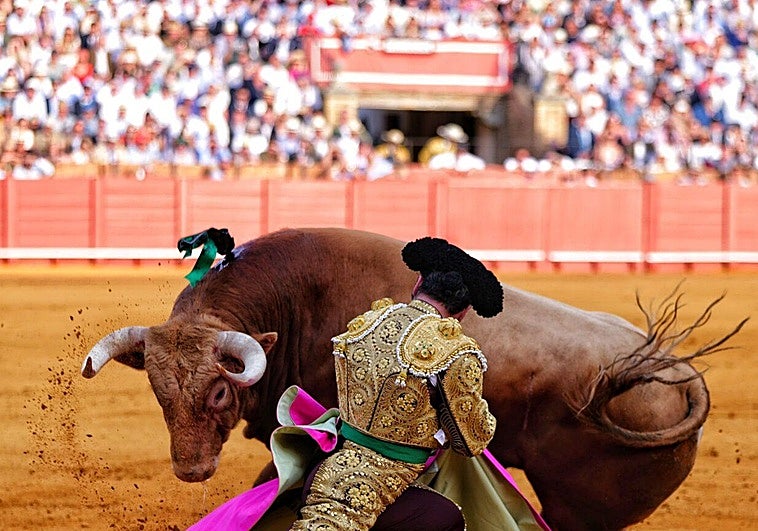 Catarsis en el ruedo, Morante en Sevilla