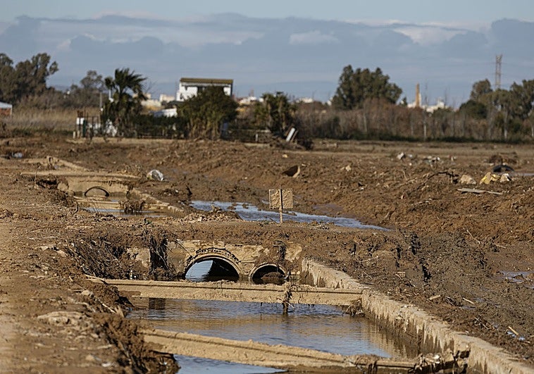 La Generalitat presenta los parques inundables del Poyo y el Turia en Europa