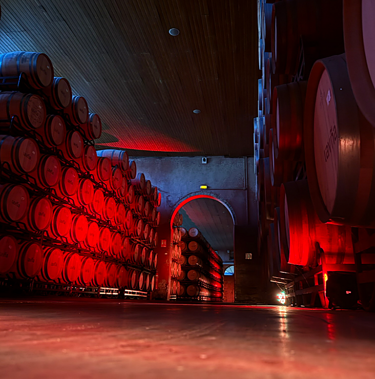 Disfruta de una experiencia de vino y brasas, talleres de carne y cenas exclusivas por ser suscriptor de LAS PROVINCIAS