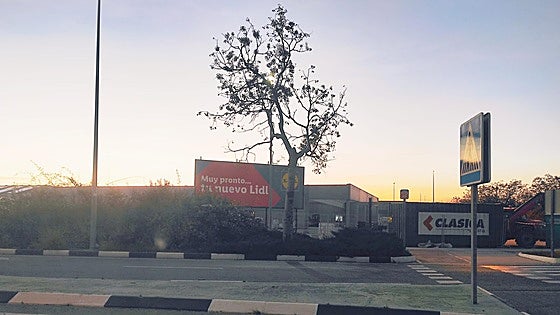 Lidl abrirá un nuevo supermercado en La Pobla de Farnals antes del verano
