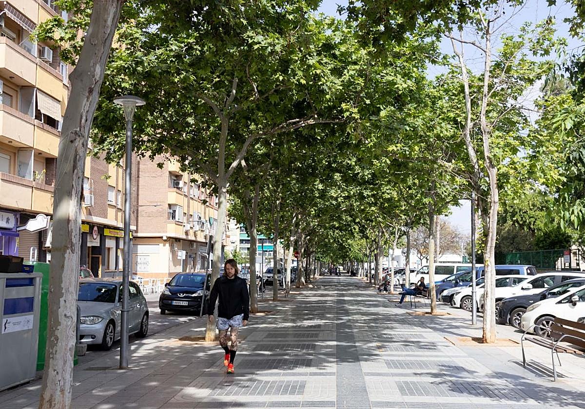 El Consell agilizará un acuerdo para la plataforma de autobuses de l'Horta