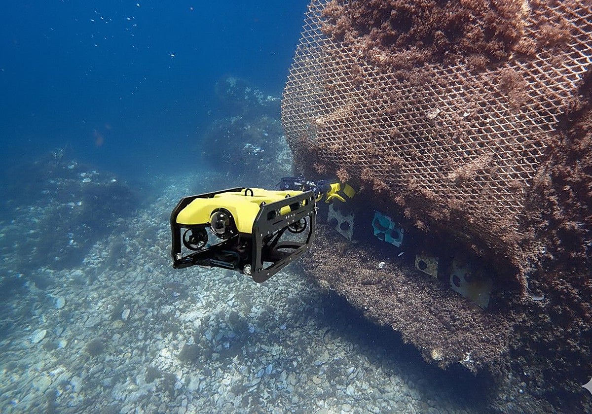 Proyecto de regeneración marina del Club Náutico Villajoyosa.