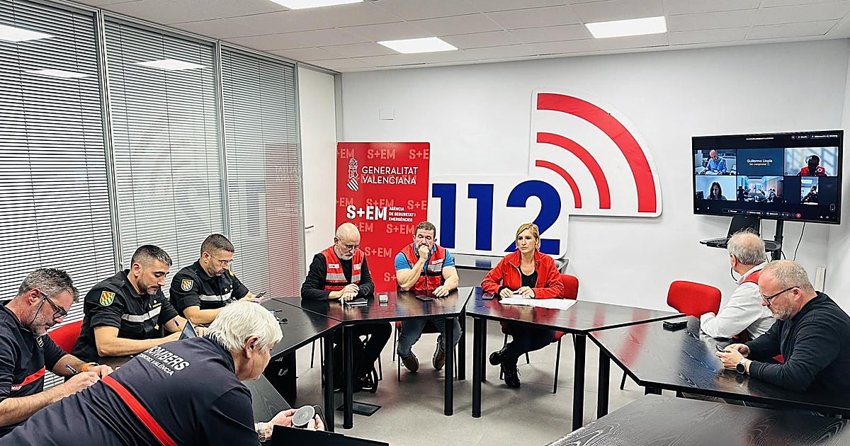 La jueza insiste en achacar el retraso del ES-Alert a la «absoluta indecisión» de la consellera Pradas