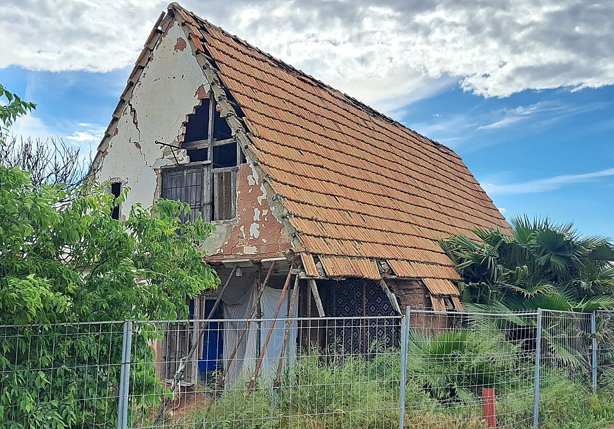 Un tesoro de l'Horta, en grave riesgo de muerte por abandono