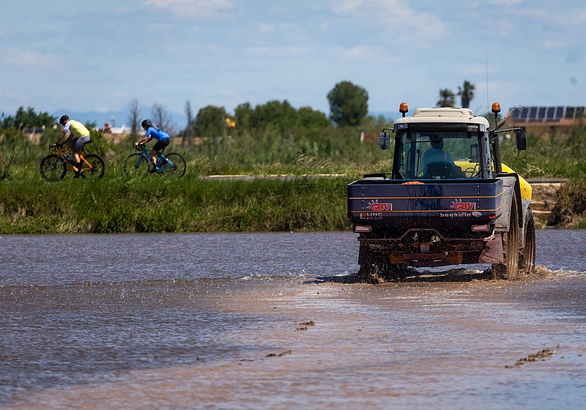 Un día en la ruina de un arrocero de la Albufera