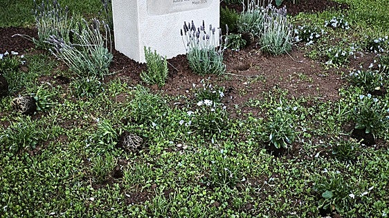 El monumento a las víctimas de la dana en Albal, vandalizado a los dos días de su inauguración