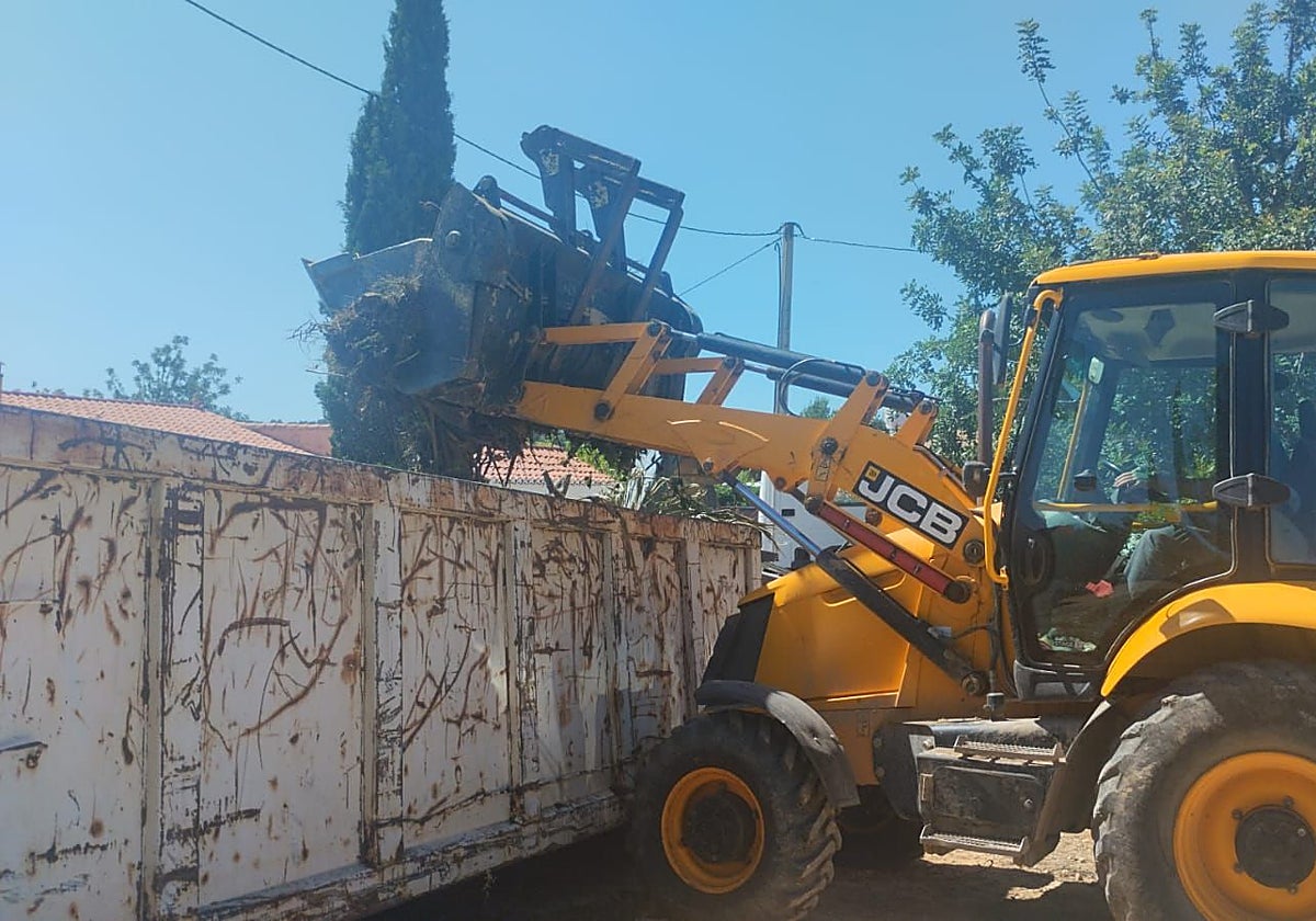 Torrent recoge 588 toneladas de vertederos ilegales en sólo cuatro meses