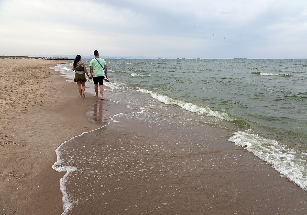 La playa de El Perellonet se vuelve a teñir de verde el fin de semana