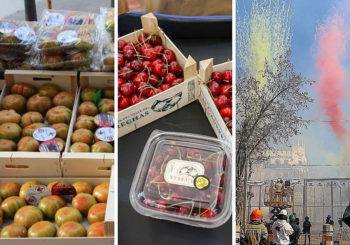 Cinco planes gratis para hacer este fin de semana en Valencia: feria del tomate, mercado de la cereza, mascletà...