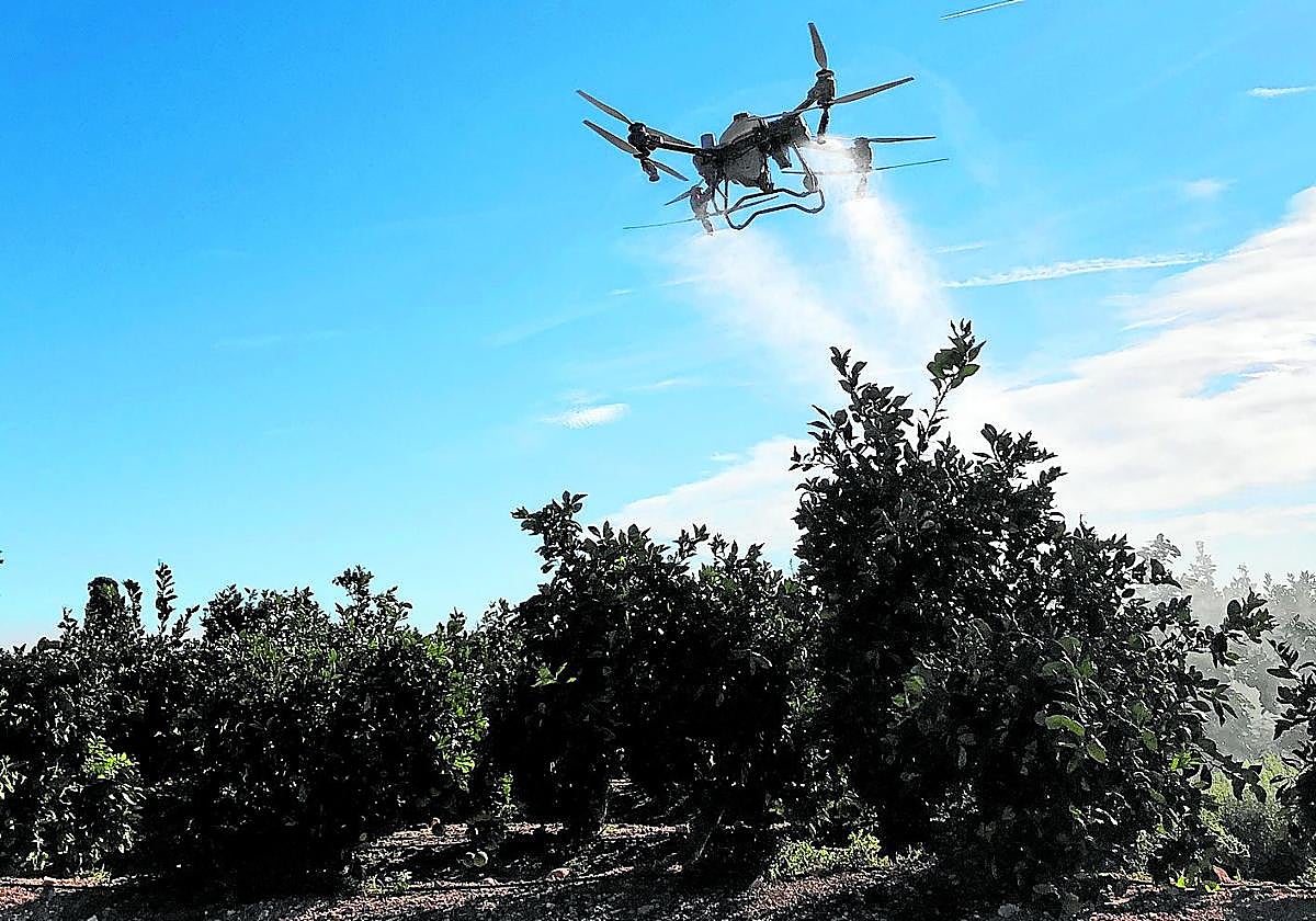 Robots y drones ya son competitivos en la aplicación de fito