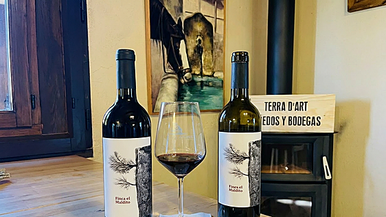 Finca El Maldito, la excelencia de los vinos de Terra d´Art