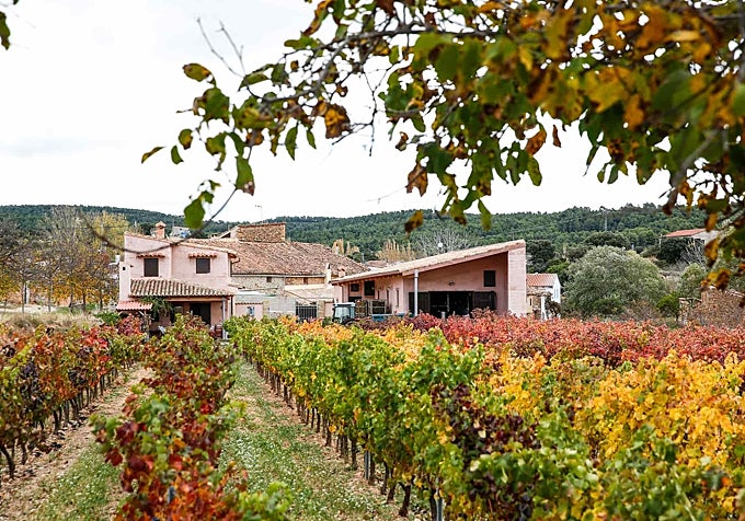 La bodega.
