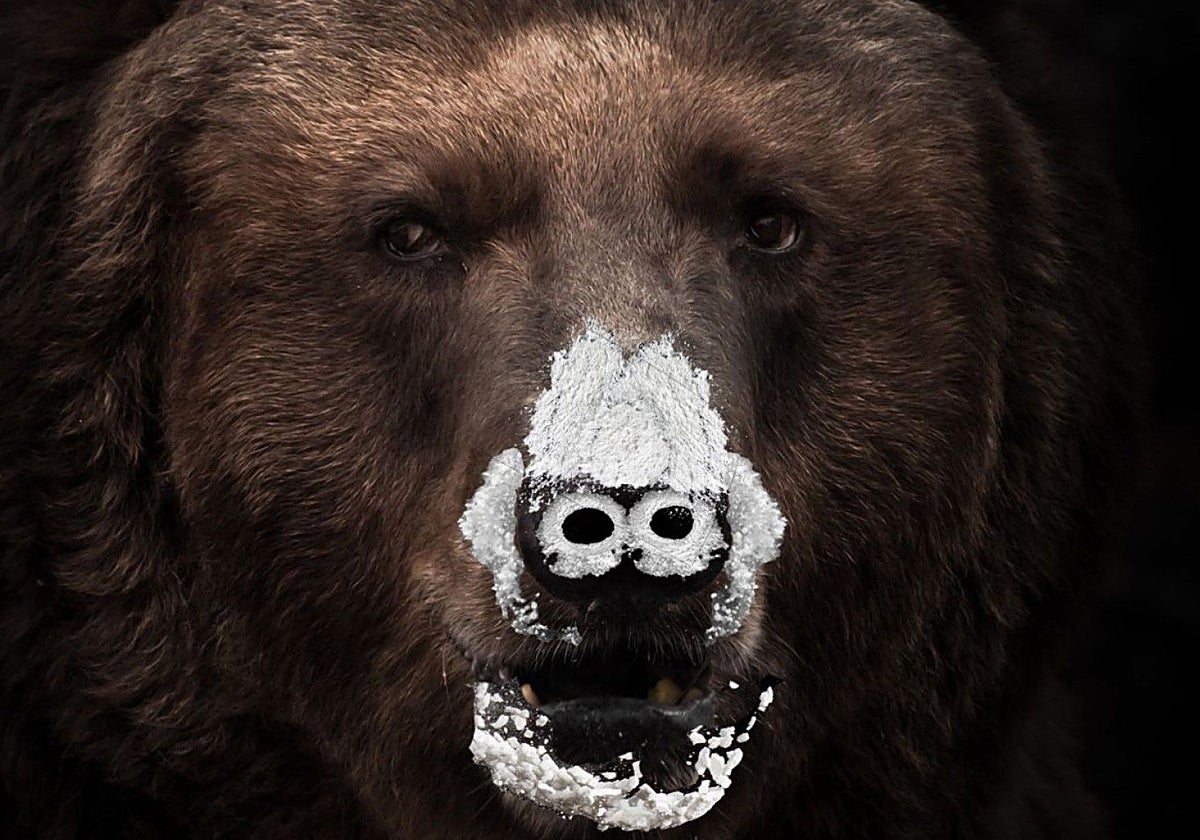Qué películas hacen en la tele este martes 21: del ingenioso humor del 'Plácido' de Berlanga a un un oso rabioso hasta arriba de cocaína