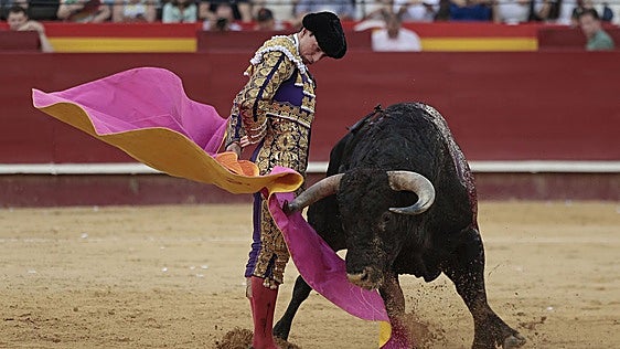 Toros gratis hoy sábado en televisión: horario y dónde ver a Jesús Duque, Nek Romero y Bruno Gimeno en la corrida de la Vendimia de Requena