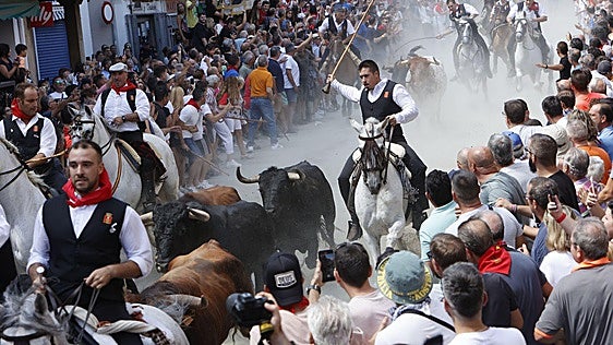 La Entrada de Toros y Caballos de Segorbe se podrá ver gratis y en abierto por televisión durante 7 días