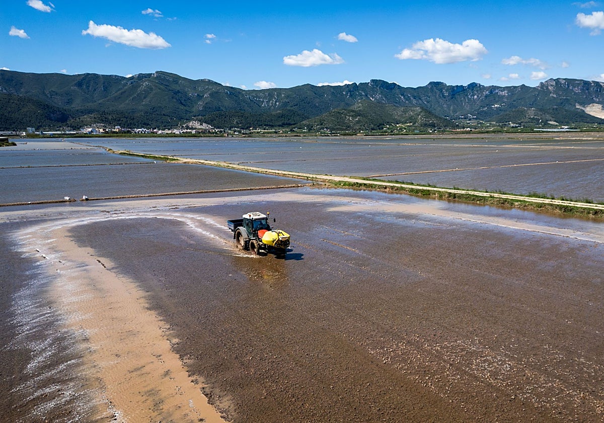 El campo valenciano pide relevo: casi la mitad de agricultores superan los 65 años