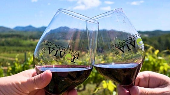 Viver Wine Fest, la gran cita enoturística del verano en el Alto Palancia