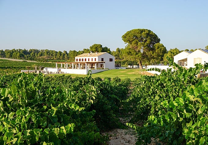 Finca y bodega Clos Cor Ví.