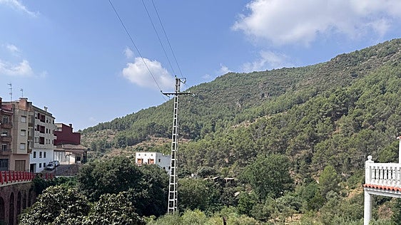 Alerta en muchos barrancos por el riesgo de incendio: «De las cañas a la Calderona apenas hay un centímetro»