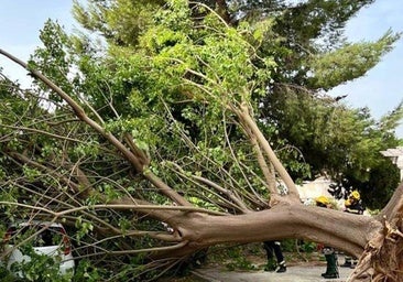 Qué son los reventones cálidos, el fenómeno que preocupa a Aemet en Valencia