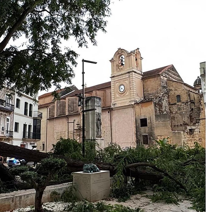Monolito dañado en Alzira por la caída de un árbol.