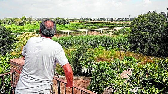 Medio Ambiente arranca la limpieza del polvorín de cañas del Turia en Riba-roja