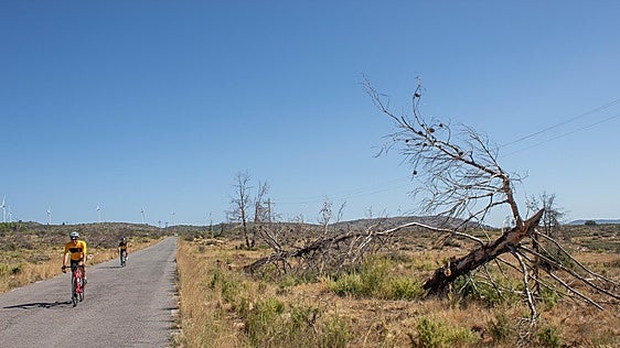 La vida después del fuego en la Comunitat