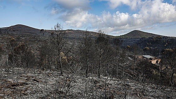 La propiedad privada del suelo bloquea los cortafuegos en la parte de la Calderona afectada por el incendio