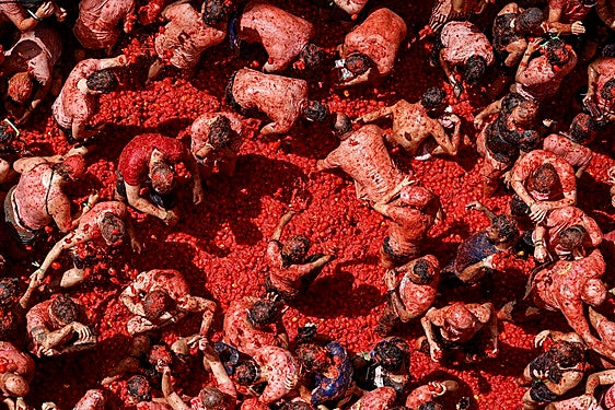 El jubiloso estallido de 150.000 kilos de tomate