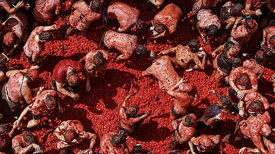 El jubiloso estallido de 150.00 kilos de tomate