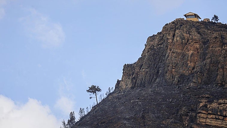 Gátova aún tiene en el monte troncos de árboles quemados en incendios de hace tres décadas