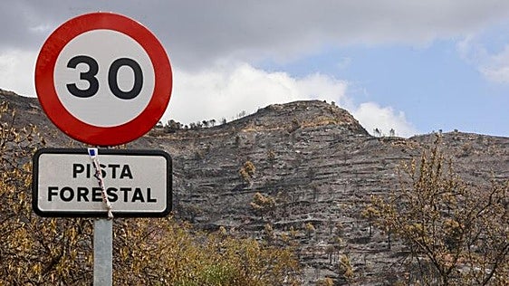 El SOS de Gátova tras el fuego en la sierra Calderona: «No nos olvidéis»