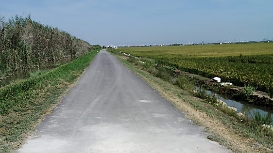 Alfafar mantiene los baldeos y mejoras en las vías públicas