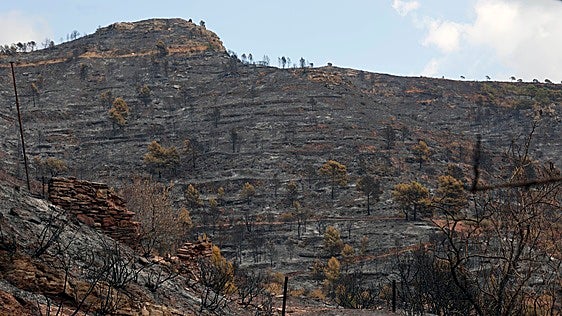 Un incendio sobresalta a los vecinos de Gátova