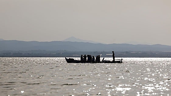 La temperatura de la Albufera cae en dos semanas cinco grados y aleja el peligro de falta de oxígeno
