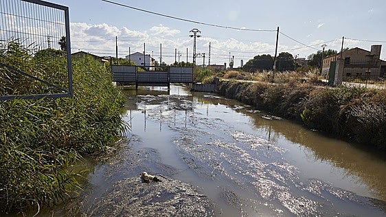 El callejón químico de la Albufera: la UV alerta de que la falta de renovación del agua dispara la contaminación