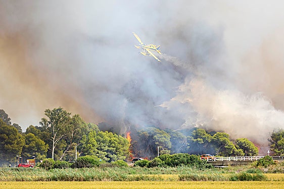 Otra alerta en El Saler: chimeneas en apartamentos con peligro de incendio en la Devesa